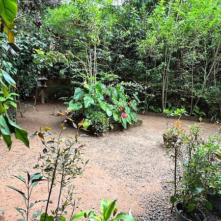 Ella Secret Paradise Εξωτερικό φωτογραφία
