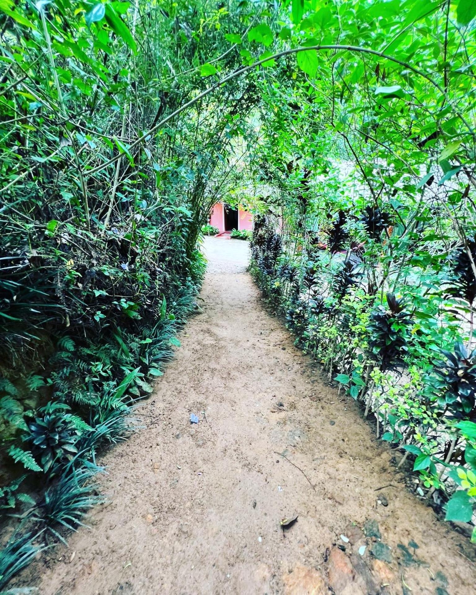Ella Secret Paradise Εξωτερικό φωτογραφία