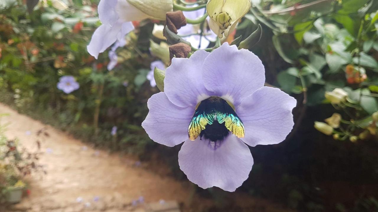 Ella Secret Paradise Εξωτερικό φωτογραφία